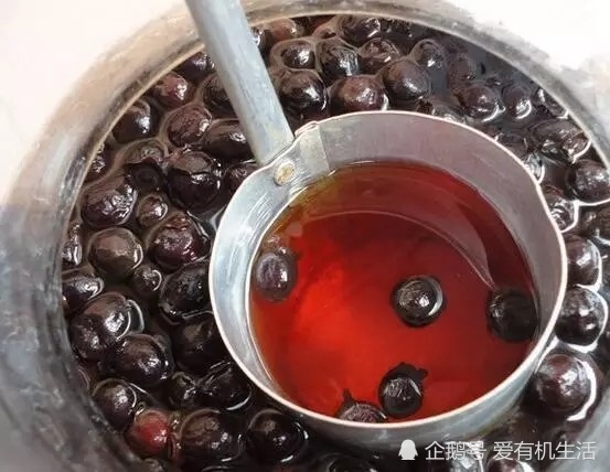 山上的桃金娘,用来泡酒口味好,它的根叶药用