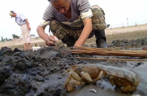 最滑稽的讨海人,手上拿个打气筒,就能出海抓皮皮虾