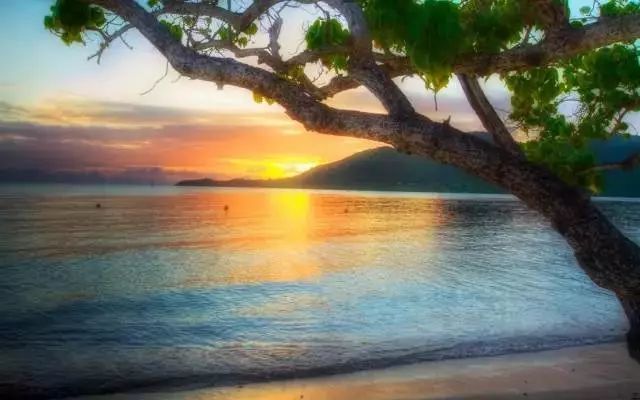 命令行导出远程数据库数据