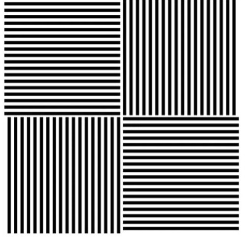 两个正方形图片的中心,每张图片盯几秒钟,然后再将视线移到另一张图片