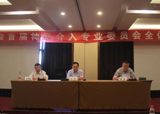 河南省成立医师协会神经介入专业委员会
