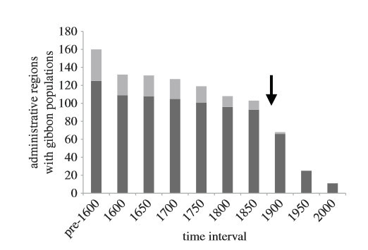 卢克·天行者|这“泼猴”敏捷值满格，但躲不过濒危