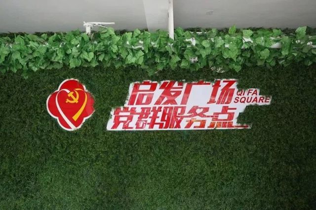 陆家镇党那里迎来中组部领导、人大代表们看