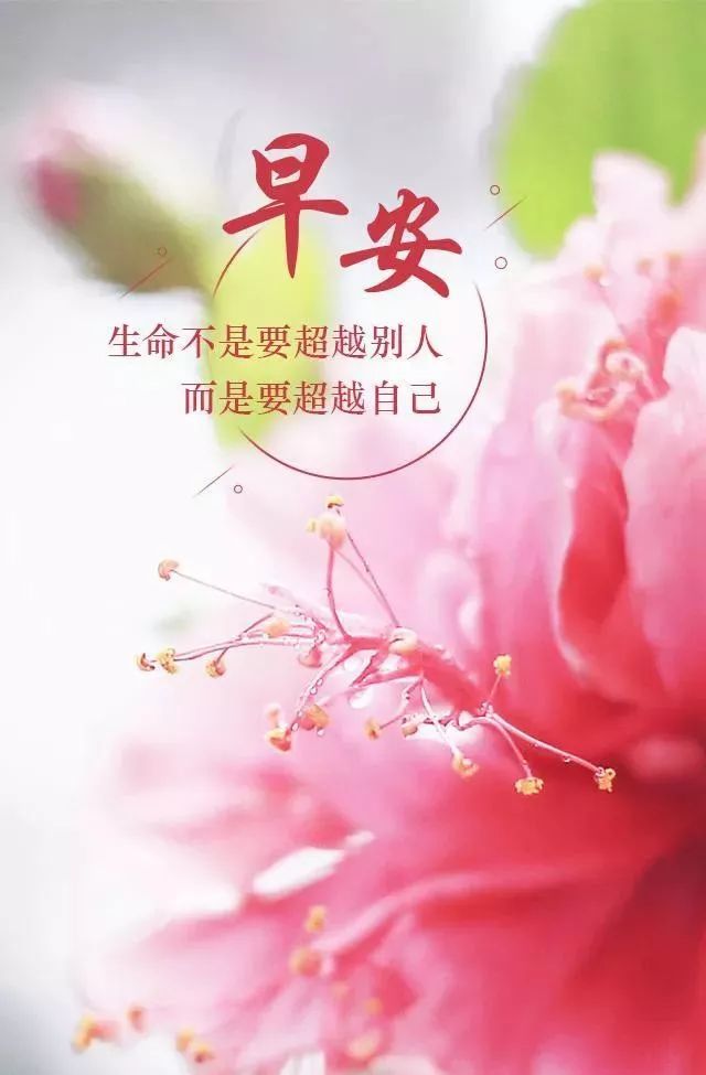 早安心语正能量一句话 早安励志图片分享