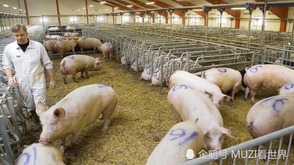 全球最幸福的国家:人均年工资30万起,却还靠养