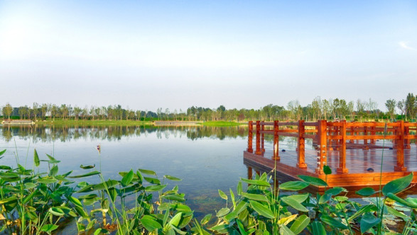 约2400公顷古枣生态园郑州再添新骄傲