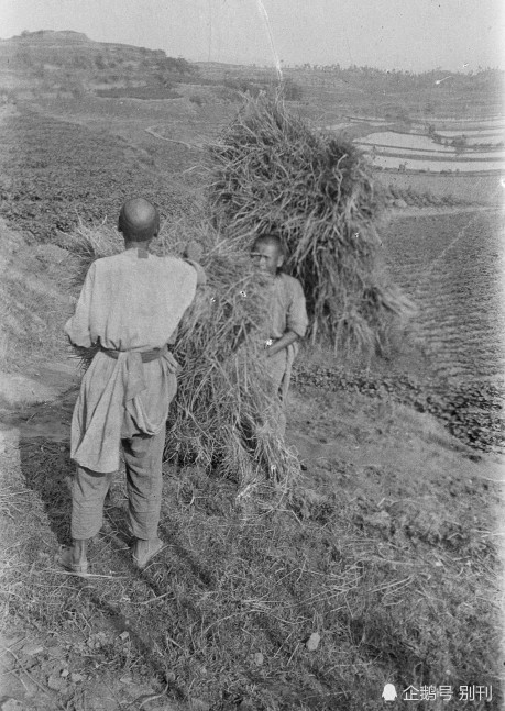 老照片|美国人拍摄的1917年老照片：杭州湖北四川河北北京