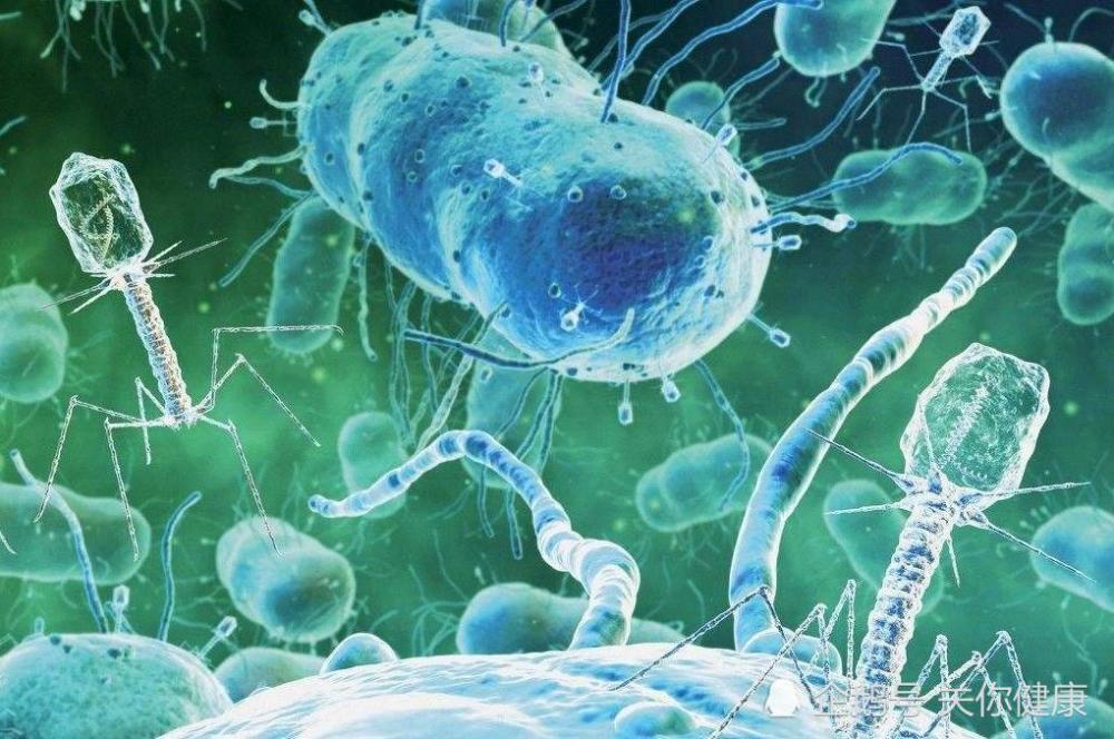 另眼看健康,幽门螺杆菌感染是不需要根治的小