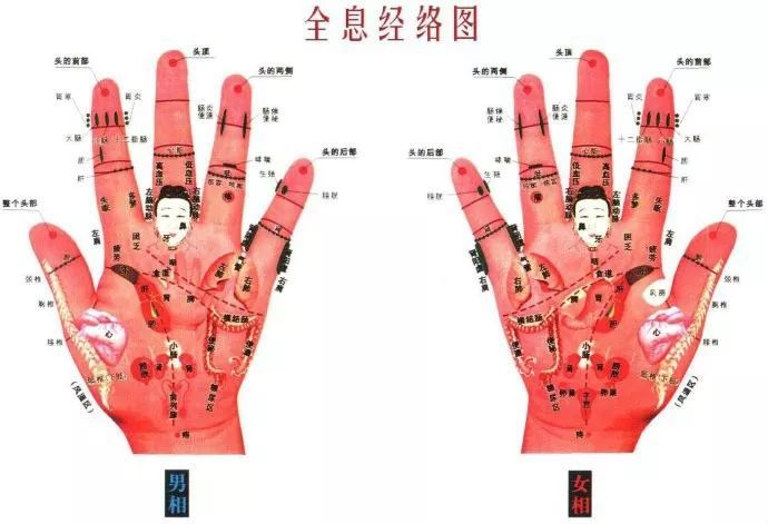 面部全息圖掃碼添加老師助教微信觀看歸藏脈法,道醫點穴,歸藏針法