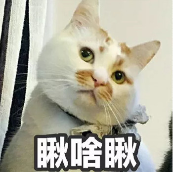 橘猫单爪扶着墙 姿势怪异 原来是小爪爪是被钩住了 脱身困难呐 腾讯网