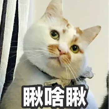 橘猫单爪扶着墙 姿势怪异 原来是小爪爪是被钩住了 脱身困难呐 腾讯网