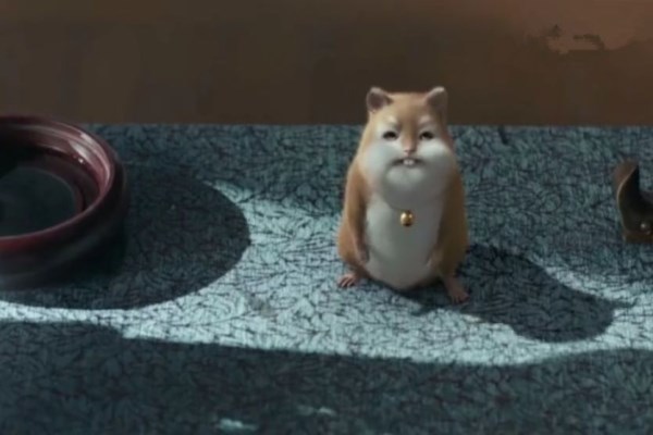 《扶摇》中的元宝才是超级大boss?你期待剧情怎么发展?