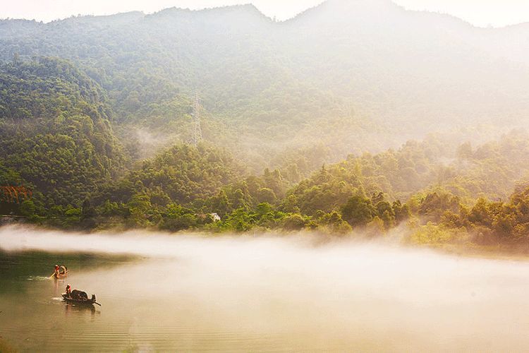 清风|八月，风吹叶落惊秋来