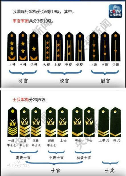 中华人民解放军军种图片