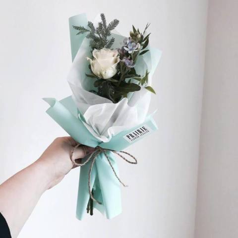 七夕情人节爱情治愈系文字说说配图,句句动人