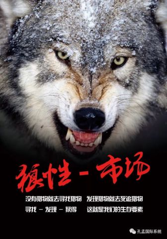 孔孟国际营销系统之营销团队建设核心要素:基