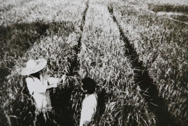 纪念改革开放四十周年双流之变