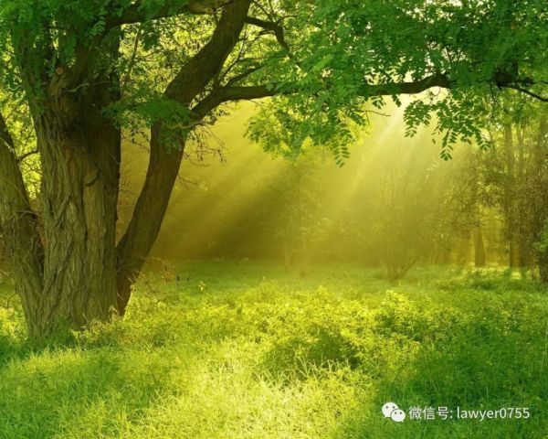 第二次起诉离婚,法院一定会判决离婚吗?