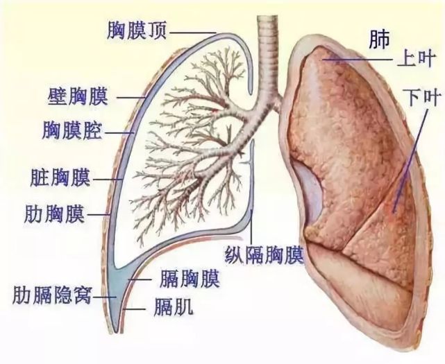 腾讯内容开放平台