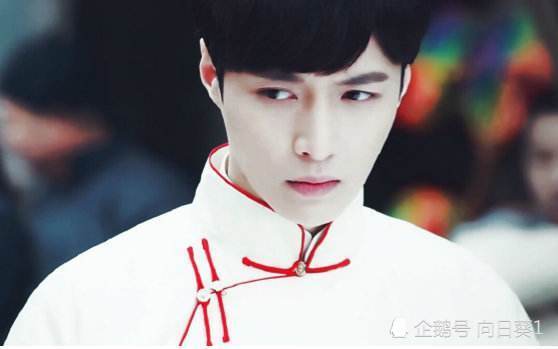 是上代张起灵(张瑞桐)的孙子,与普通人混血的张家后人.