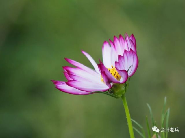 2019年社保移交税务局征收的财务应对