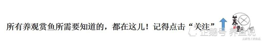 水妖精工作原理图