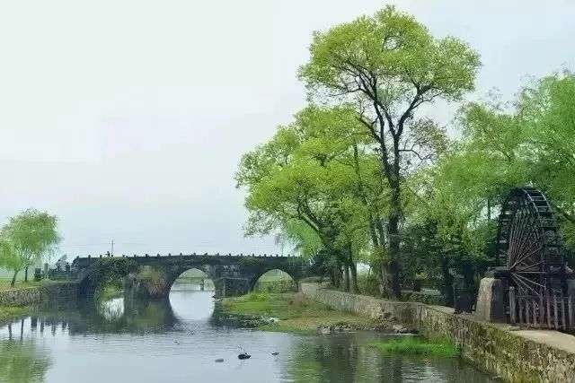 童年|20首绝美诗词，读完一生