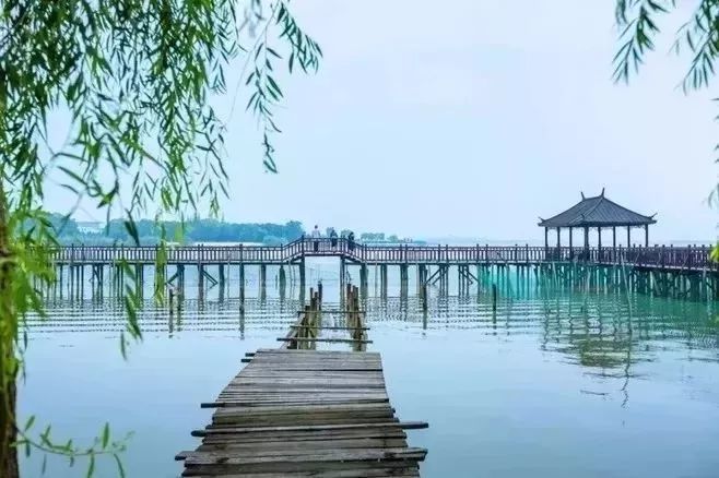 童年|20首绝美诗词，读完一生