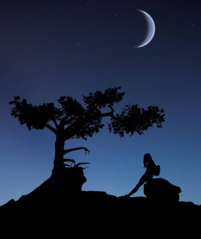 一个人心累了的伤感说说带图片,句句戳中泪点