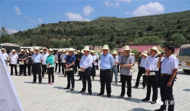 庄浪县2018年上半年典型培育工作现场观摩督