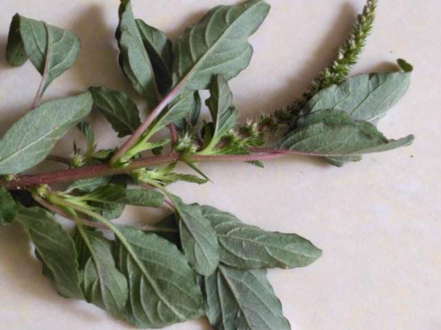 腾讯内容开放平台