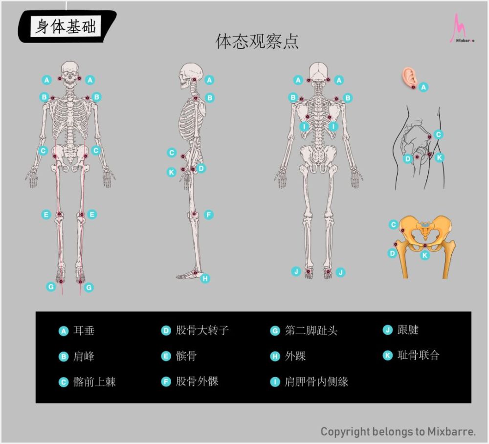 乾貨|健康美麗的頭等大事,體態&體態自我評估_騰訊新聞