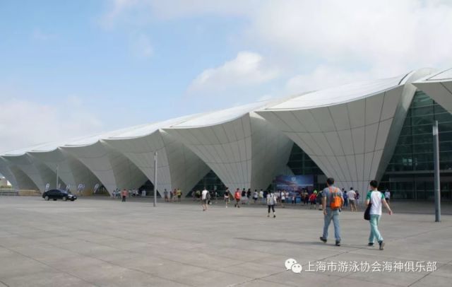 上海市游泳协会海神俱乐部游泳队首次亮相