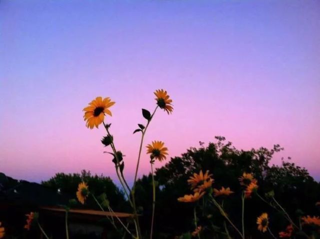 朋友圈很窝心的人生励志心灵鸡汤句子,句句精