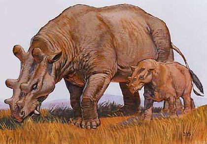 尤因它兽也就是恐角兽,名字来源于它的发现地