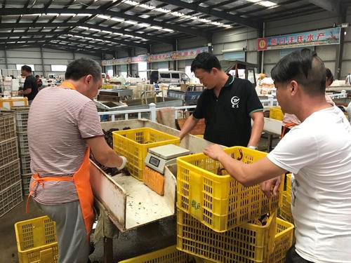 潜江小龙虾全产业链背后的金融故事