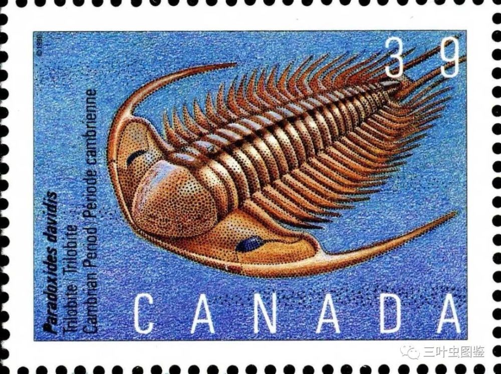 邮票上的三叶虫为我国著名古生物学家孙云铸先生在1924年命名的蒿里山