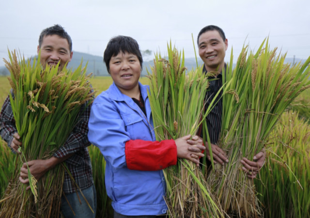 比《舌尖》还好看的美食纪录片,豆瓣评分9.0,网