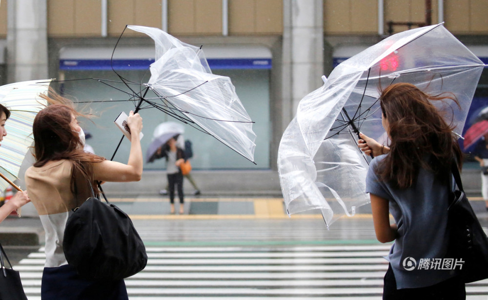 强台风"珊珊"登陆日本 风中小姐姐很凌乱