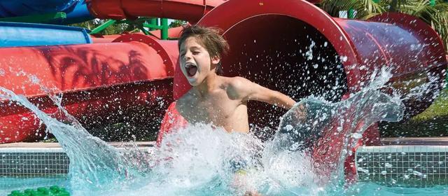 免签 玩水冲沙 海底餐厅 海豚同游 迪拜亲子玩乐全攻略 腾讯网