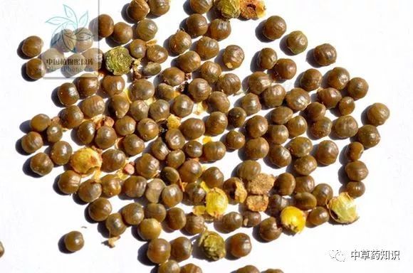 中药材:盐肤木根_腾讯新闻