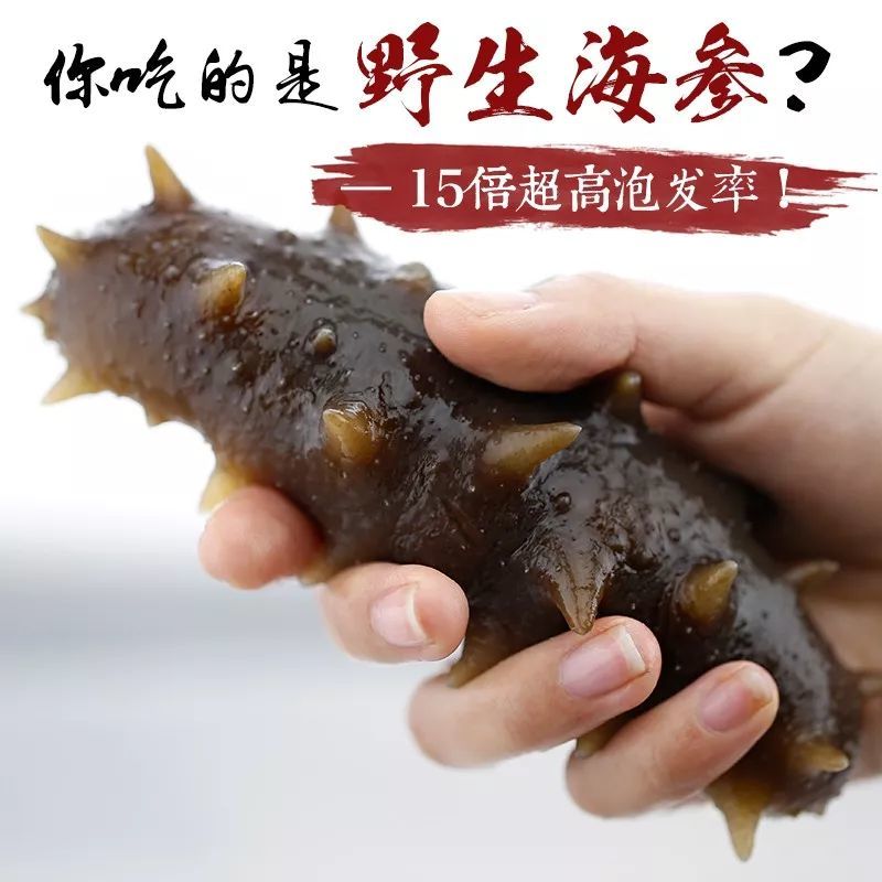 中国顶级海参排行榜,沿海城市大OK