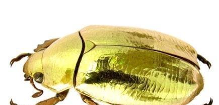 《凡人修仙传仙界篇》韩立在冥寒仙宫获得金仙