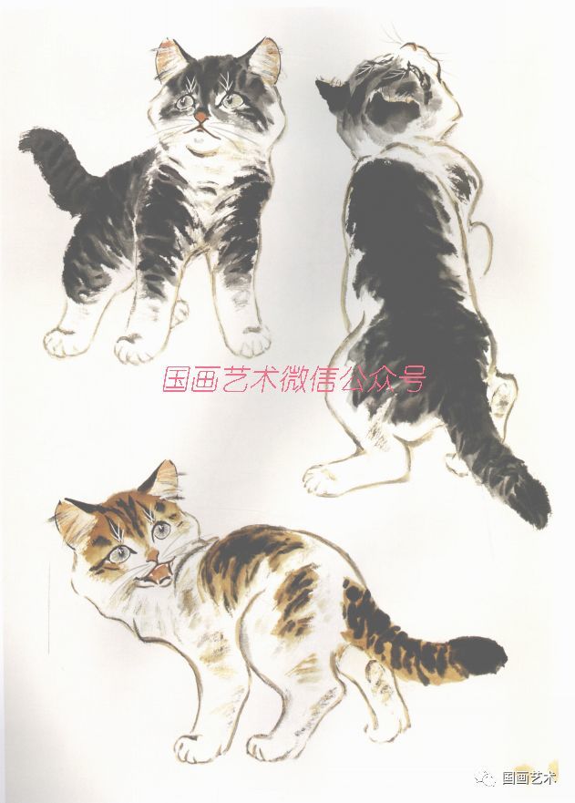 小写意画猫参考百猫百态