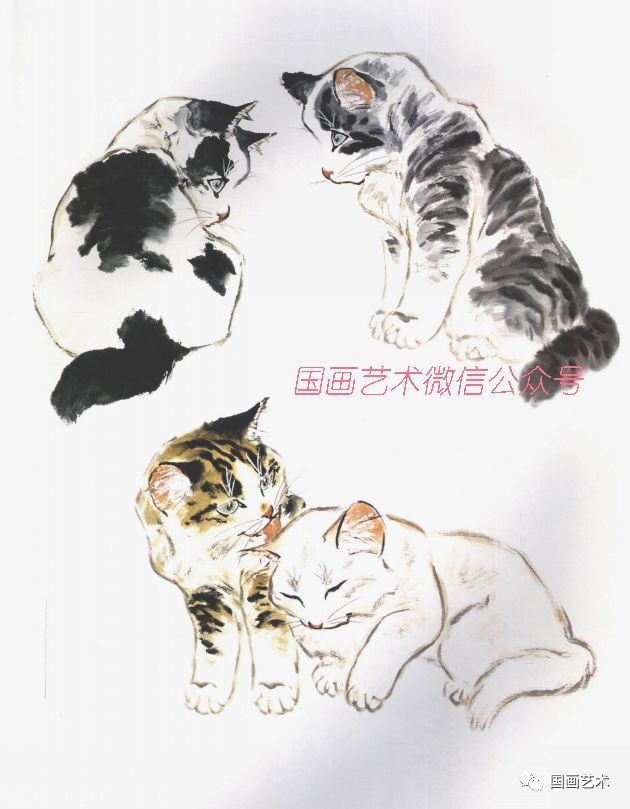 小写意画猫参考百猫百态