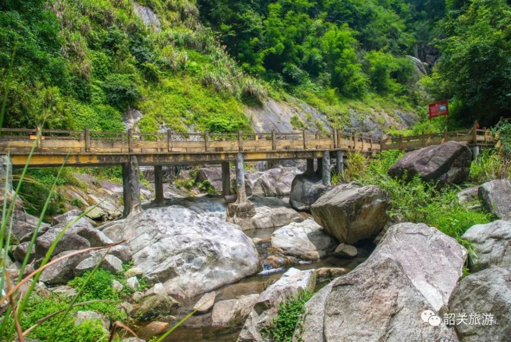 注意啦,天井山国家森林公园67即日起至暂停开放!