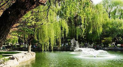 一所双一流985大学,全球排名500强,新生一下车