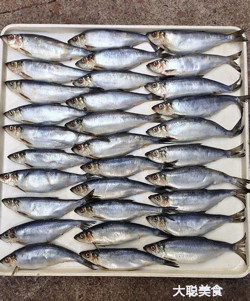 这种鱼罐头味道堪比臭水沟 为何一年还要卖出