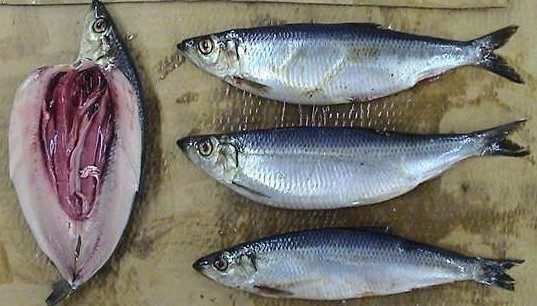 这种鱼罐头味道堪比臭水沟 为何一年还要卖出