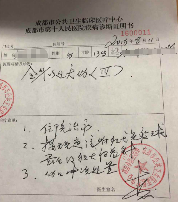 成都13岁少年在小区内被咬伤伤人犬为主城区禁养犬